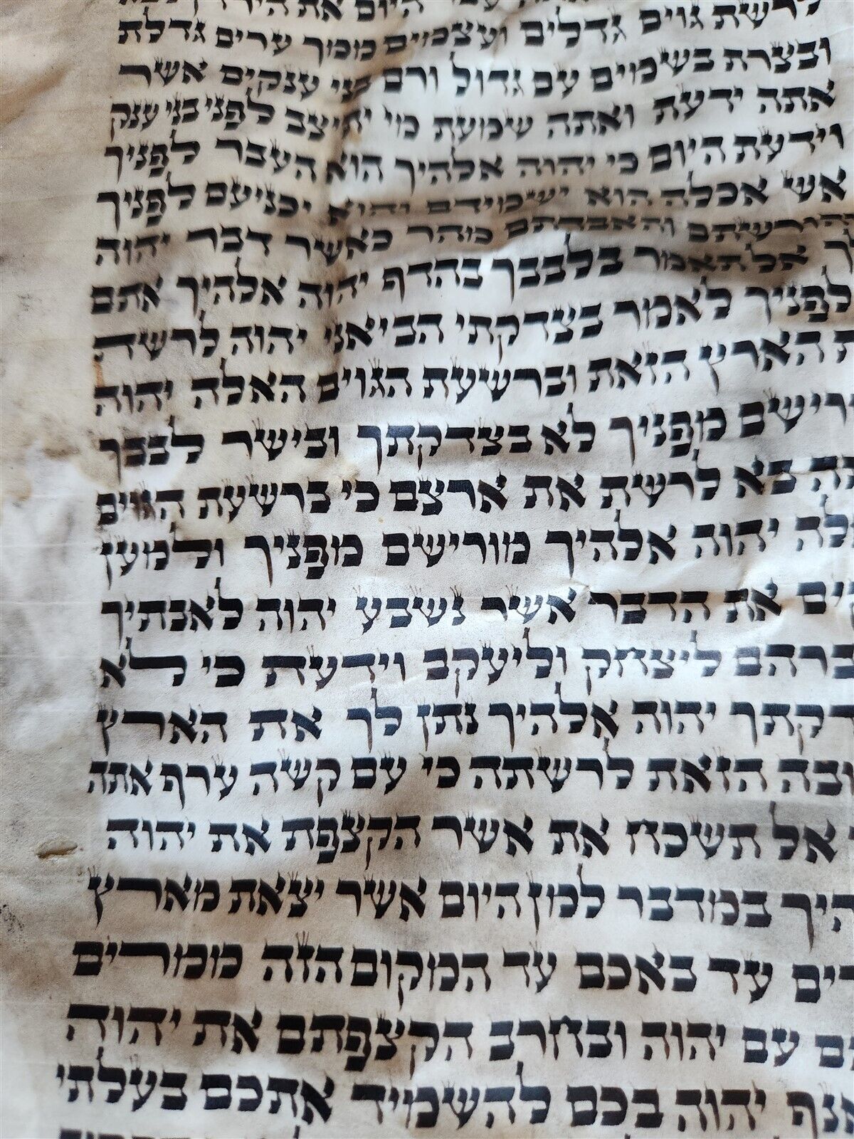 TORAH SCROLL FRAGMENT MANUSCRIPT on VELLUM antique BIBLE DEUTERONOMY 7:26-1:4