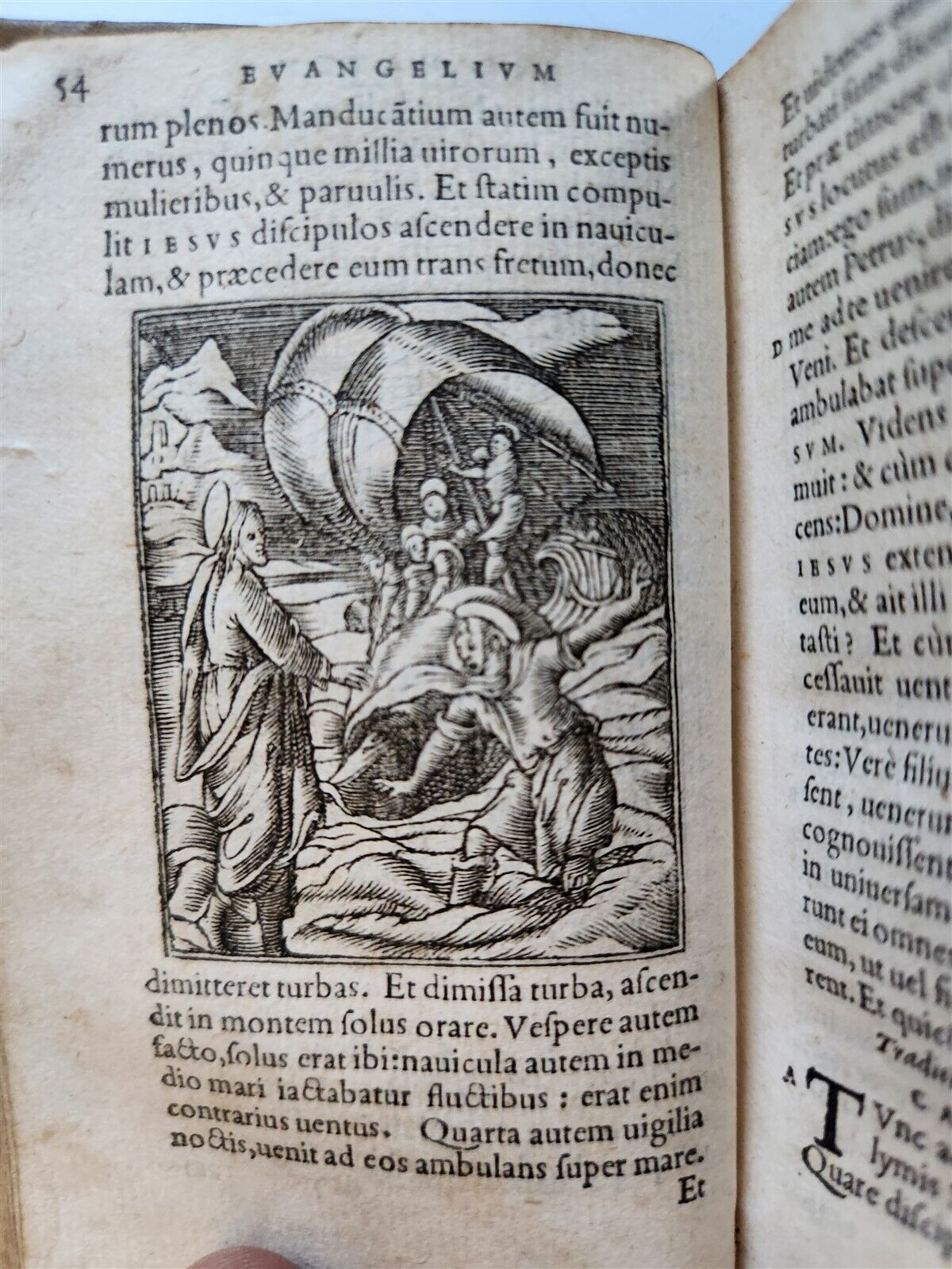 1558 BIBLE IN LATIN ILLUSTRATED antique 16th CENTURY vellum bound NEW TESTAMENT