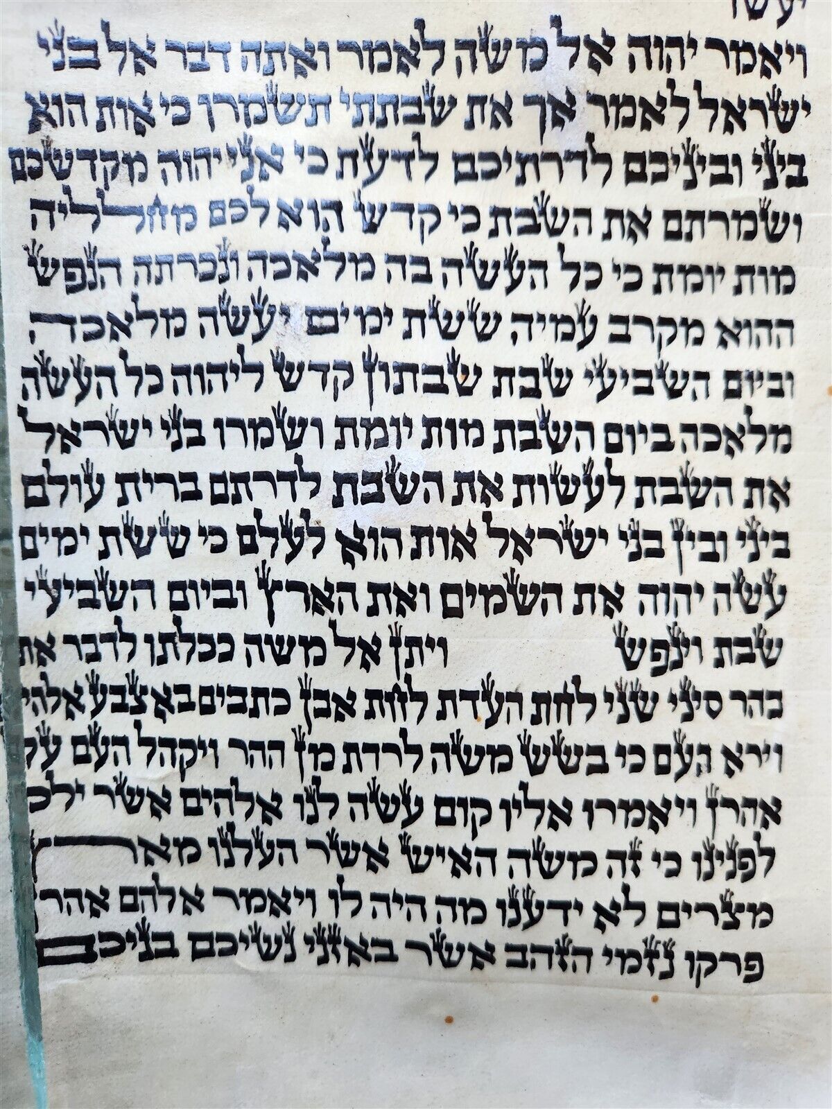 TORAH SCROLL FRAGMENT MANUSCRIPT on VELLUM antique BIBLE EXODUS 29:4-32.2