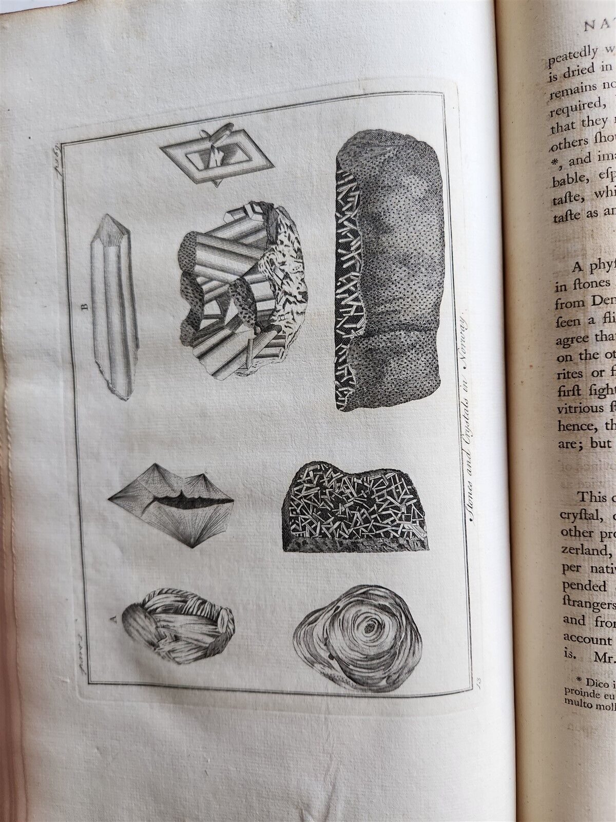 1755 NATURAL HISTORY of NORWAY ILLUSTRATED Pontoppidan antique FOLIO in ENGLISH