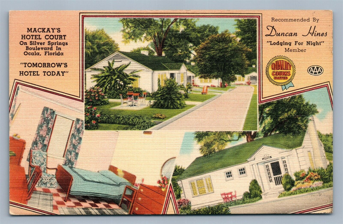OCALA FL MacKAY'S HOTEL COURT VINTAGE POSTCARD
