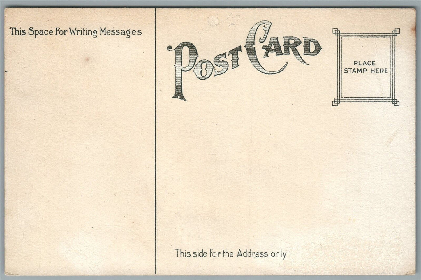 PHILADELPHIA PA MARKET STREET LOOKING WEST ANTIQUE POSTCARD