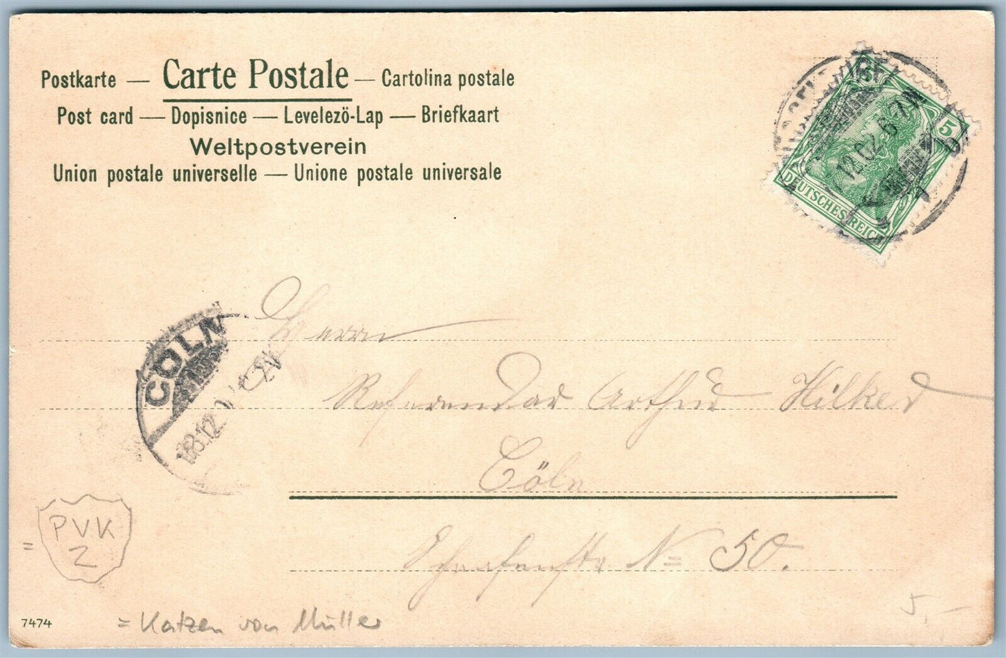 CATS & HEDGEHOG ANTIQUE POSTCARD