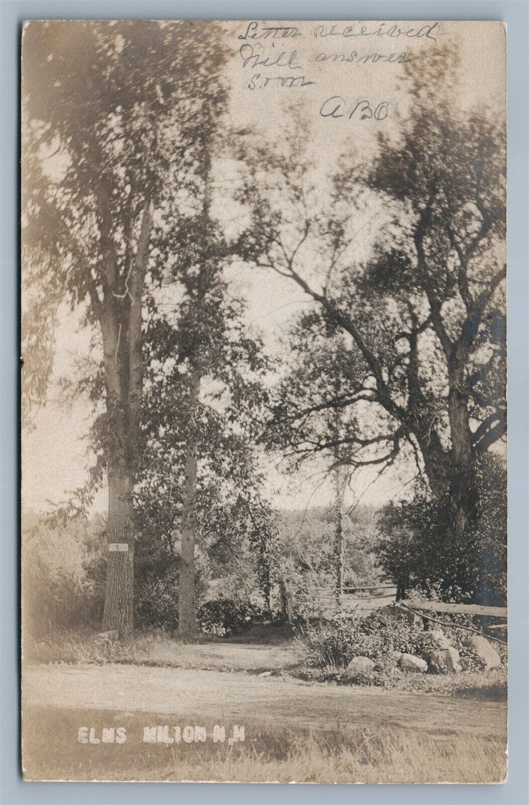 ELMS MILTON NH 1906 ANTIQUE REAL PHOTO POSTCARD RPPC