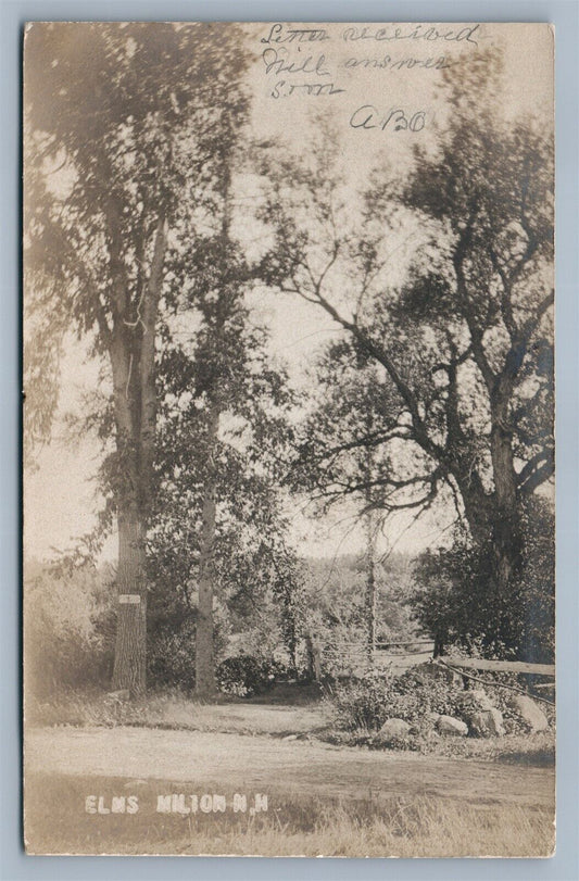 ELMS MILTON NH 1906 ANTIQUE REAL PHOTO POSTCARD RPPC