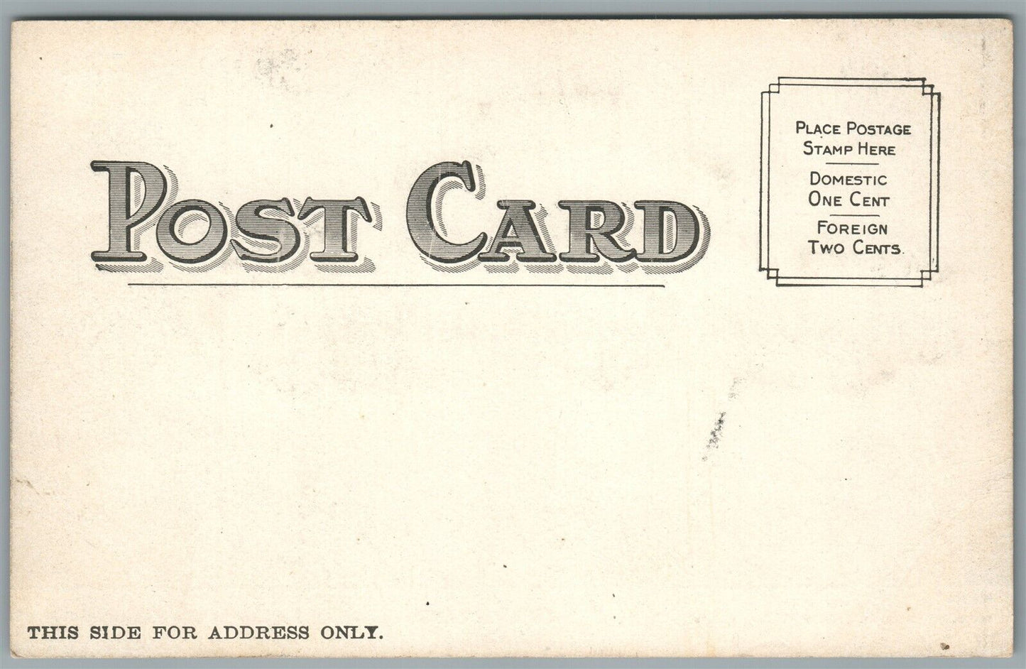 BROOKLYN NY CONEY ISLAND ZIZ ANTIQUE POSTCARD