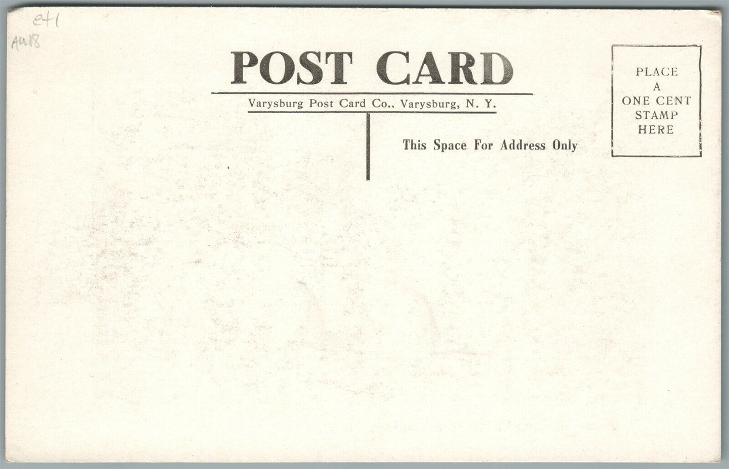 JOHNSONBURG NY STREET LOOKING SOUTH ANTIQUE POSTCARD