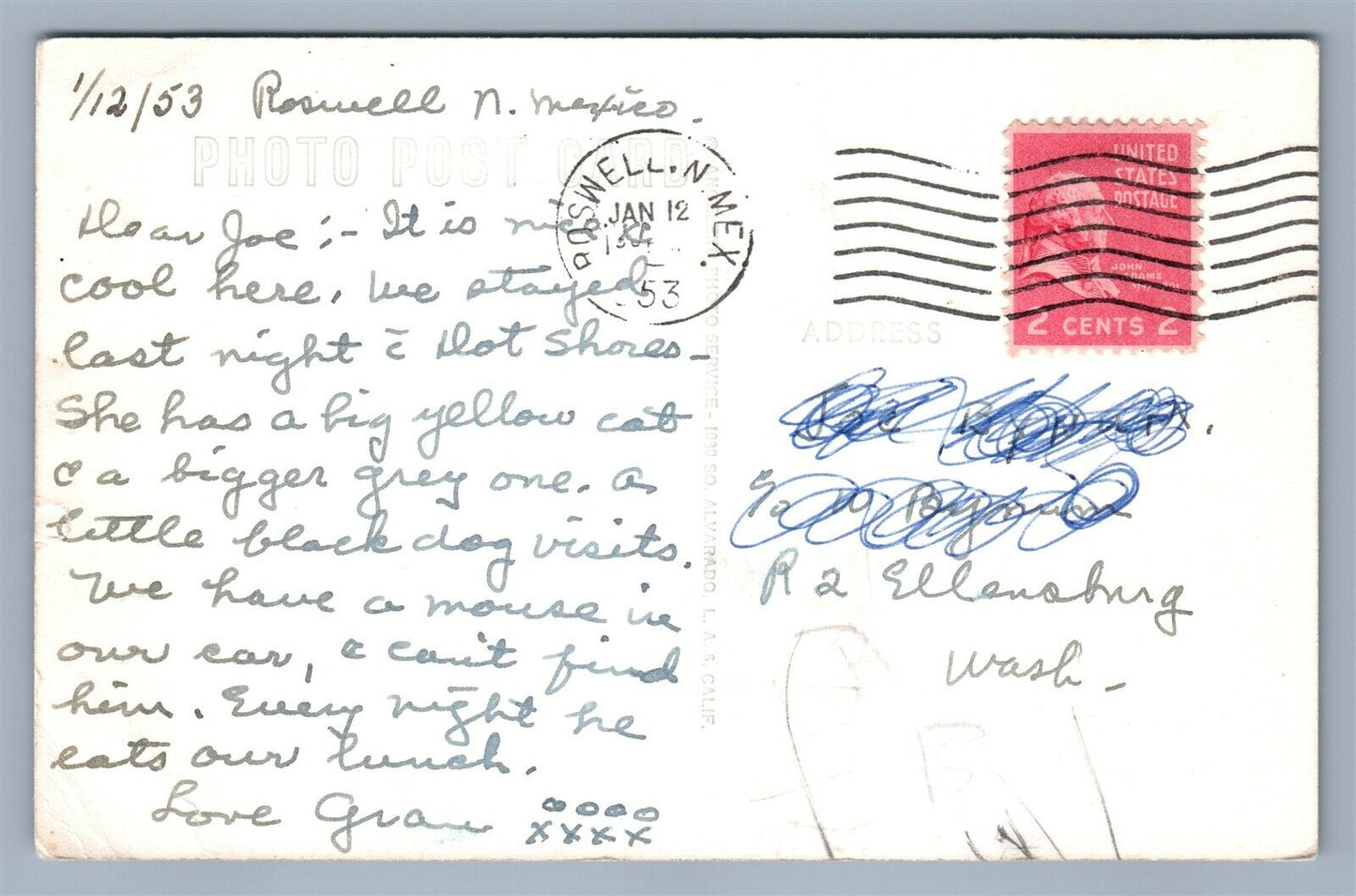 MULE DRAWN CART NEW MEXICO 1953 VINTAGE REAL PHOTO POSTCARD RPPC