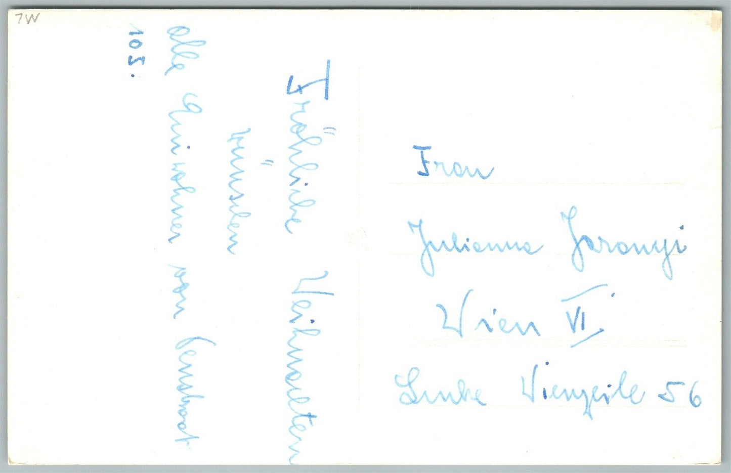 CURASAO GREETINGS PHOTOMONTAGE w/ CATS & DOG VINTAGE REAL PHOTO POSTCARD RPPC