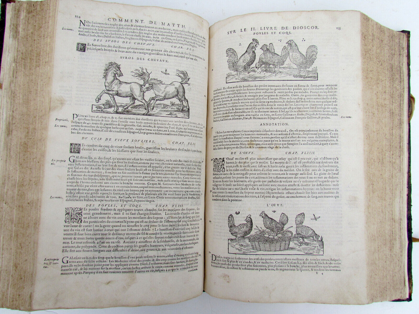 1579 MATTHIOLE COMMENTARIES ILLUSTRATED PLANTS ANIMALS antique 16th cent. FOLIO