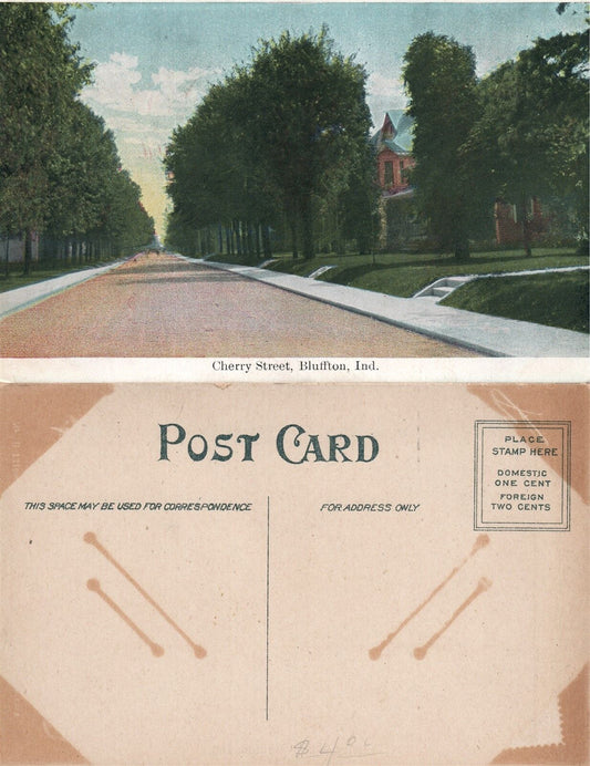BLUFFTON IN CHERRY STREET ANTIQUE POSTCARD