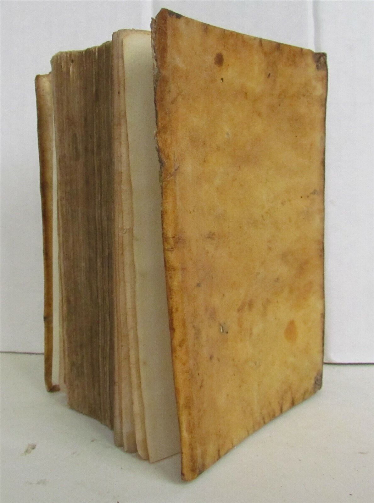 1584 Francesco PETRARCA ANTIQUE vellum De rimedi de l'una et l'altra fortuna