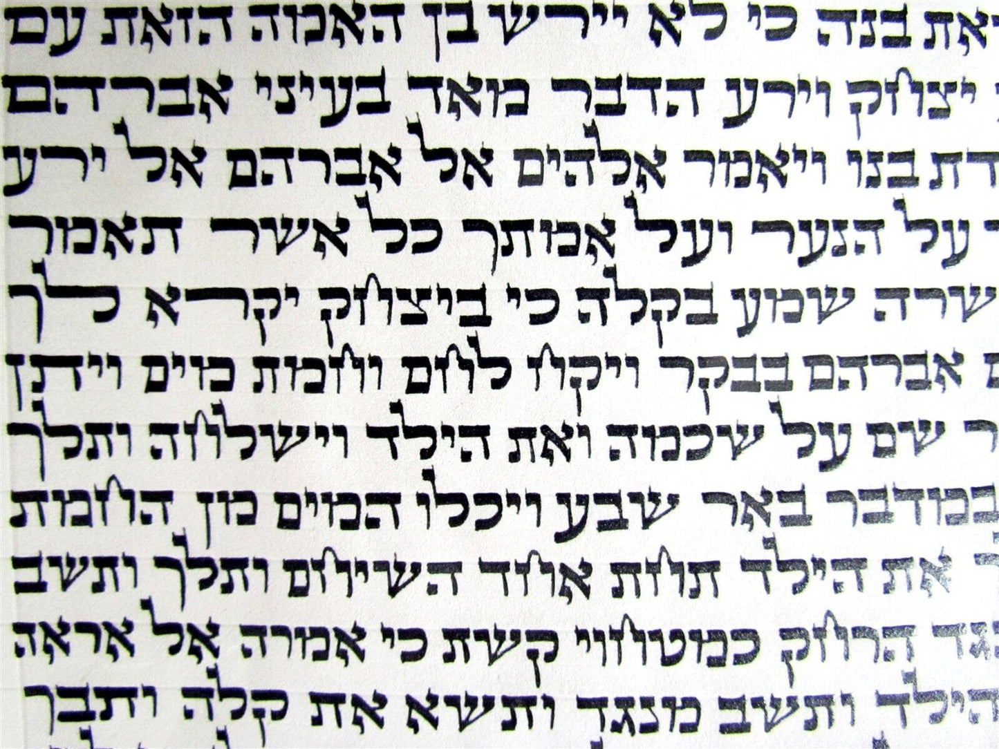 TORAH SCROLL FRAGMENT MANUSCRIPT VELLUM ANTIQUE BIBLE GENESIS 19:35-21:28