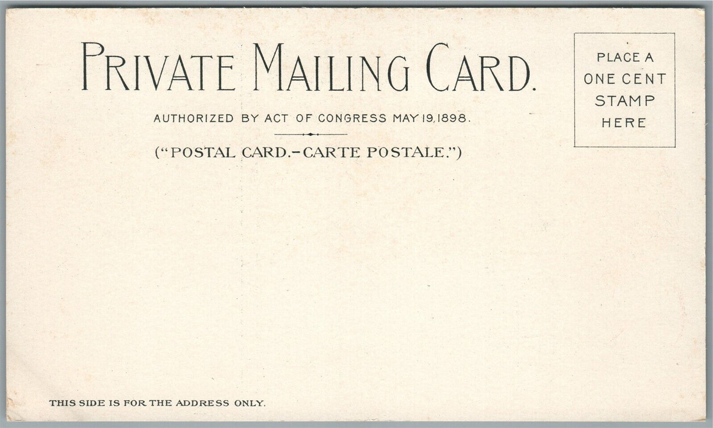 BUFFALO NY PAN AMERICAN EXPO ANTIQUE PRIVATE MAILING POSTCARD mines horticulture