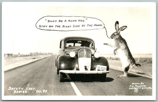 RABBIT DRIVING SCHOOL EXAGGERATED VINTAGE REAL PHOTO POSTCARD RPPC GARDEN CITY