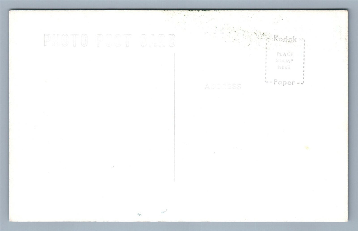 POTTERSVILLE NY LOON LAKE PINE AIRE COTTAGES VINTAGE REAL PHOTO POSTCARD RPPC