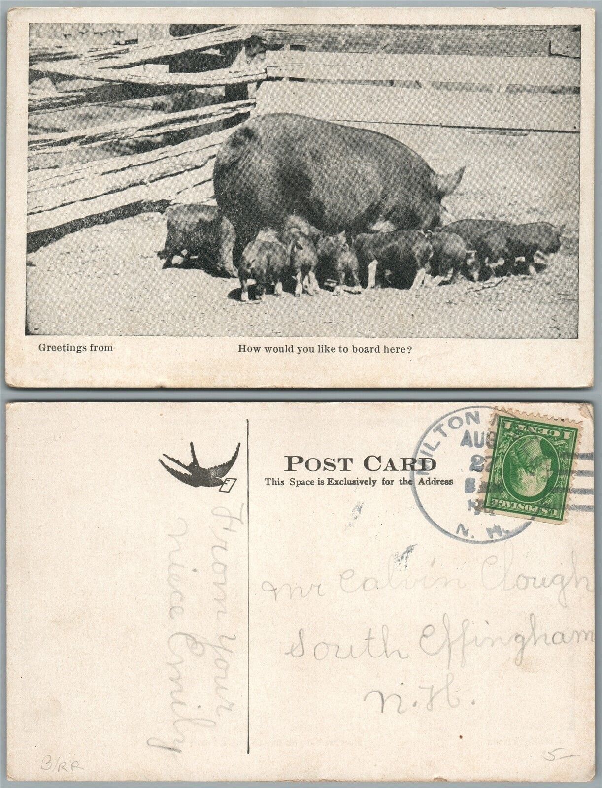 PIGLETS 1912 ANTIQUE POSTCARD