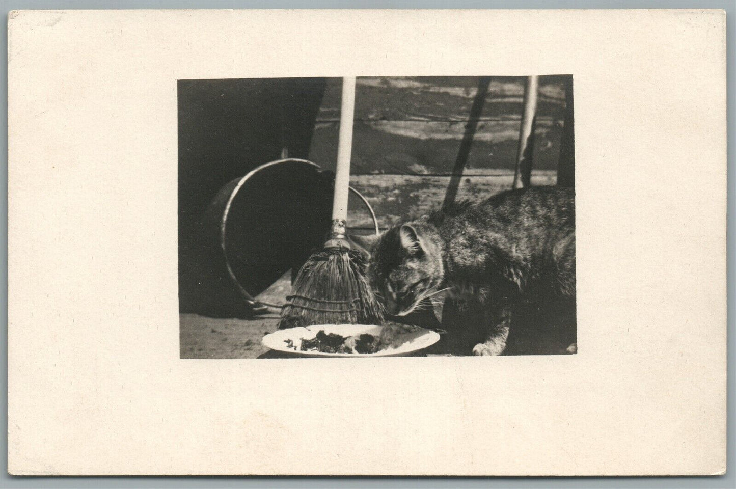 CAT EATING ANTIQUE REAL PHOTO POSTCARD RPPC