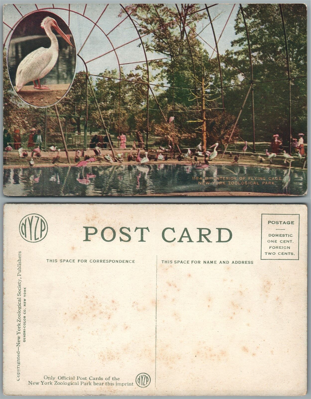 NEW YORK ZOO N.Y. ANTIQUE POSTCARD INTERIOR OF FLYING CAGE