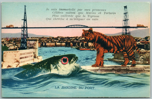 EXAGGERATED FISH & TIGER VINTAGE POSTCARD