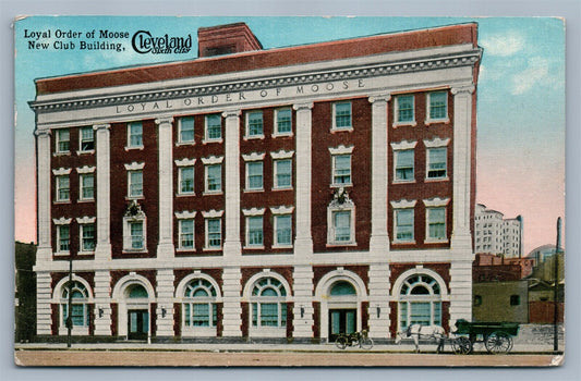 CLEVELAND OH LOYAL ORDER OF MOOSE NEW CLUB BUILDING 1916 ANTIQUE POSTCARD