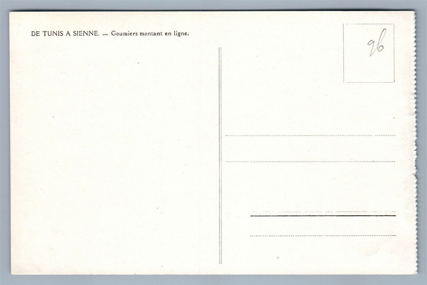 WWII CAVALRY VINTAGE REAL PHOTO POSTCARD RPPC