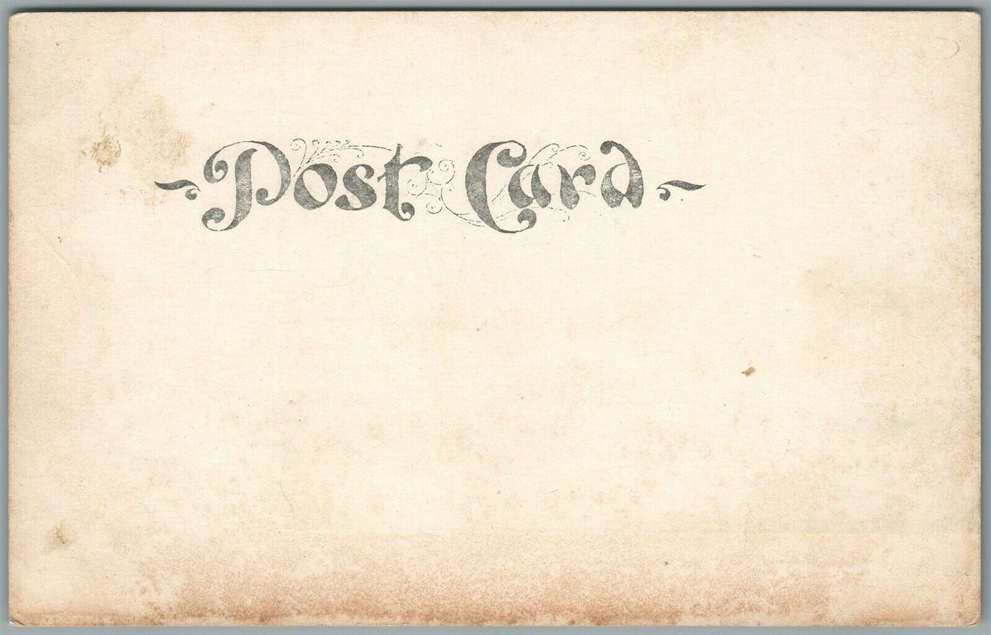 PATTENBURG NJ BELLEWOOD PARK ANTIQUE POSTCARD