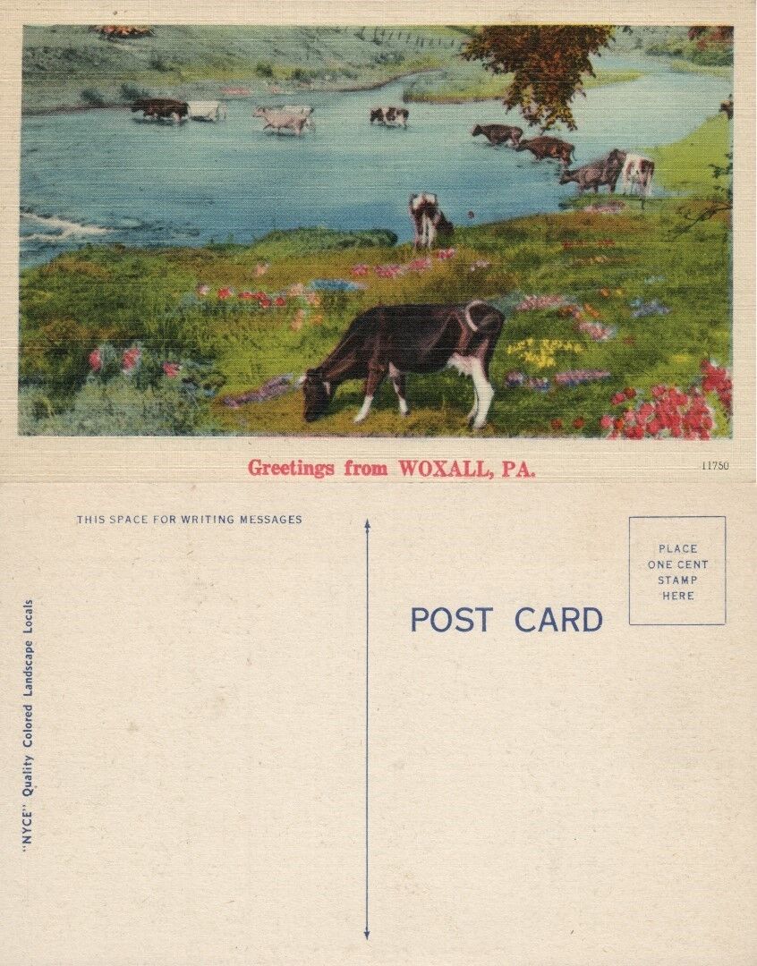 GREETINGS FROM WOXALL PA VINTAGE POSTCARD