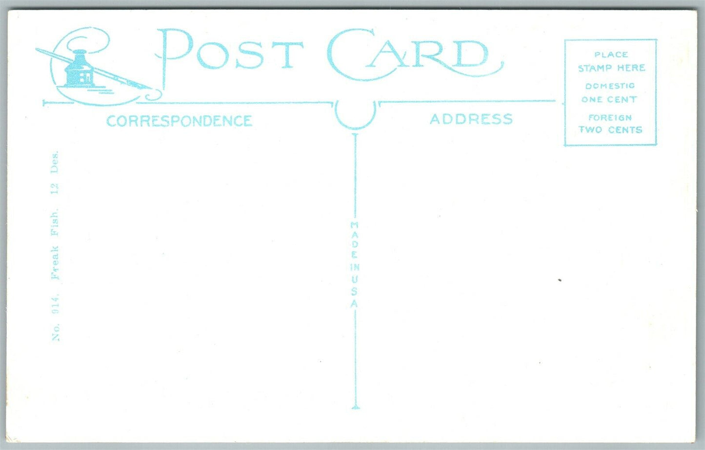 EXAGGERATED FISHING ANTIQUE POSTCARD FIRST ONE WE LANDED