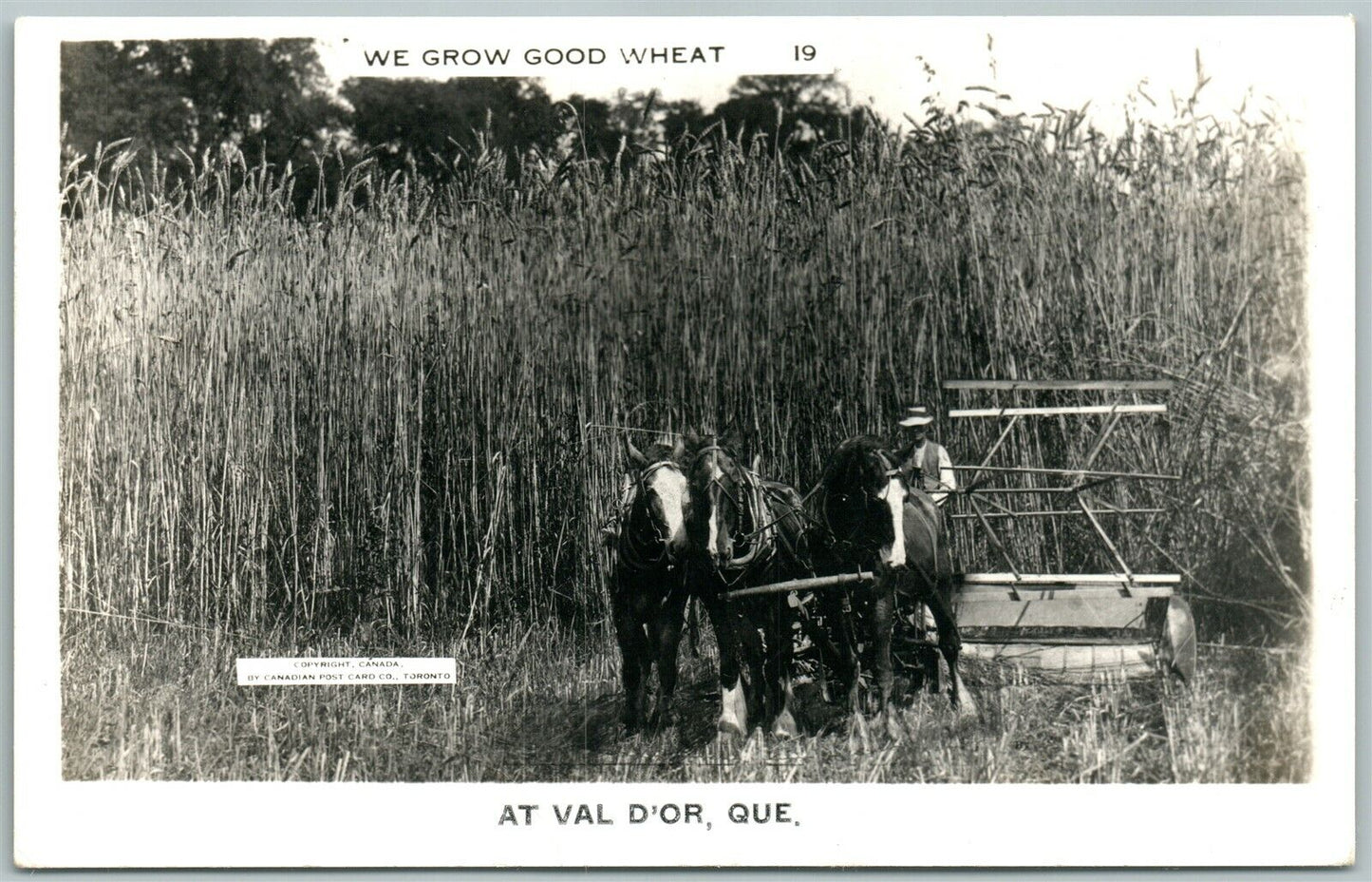 VAL D'OR QUEBEC CANADA EXAGGERATED WHEAT VINTAGE REAL PHOTO PC RPPC FARMING
