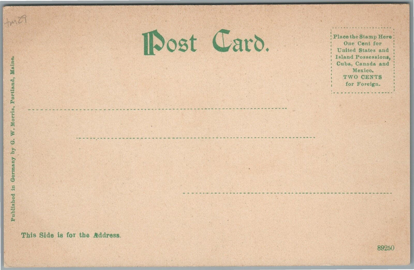 LAKEPORT NH ELM STREET ANTIQUE POSTCARD