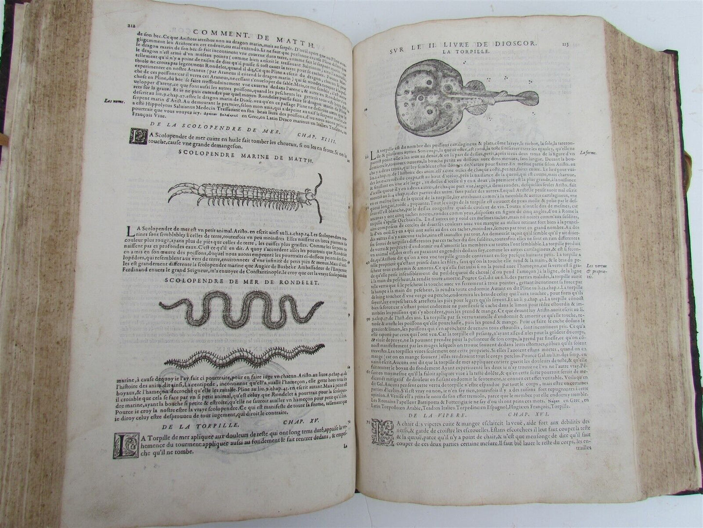 1579 MATTHIOLE COMMENTARIES ILLUSTRATED PLANTS ANIMALS antique 16th cent. FOLIO