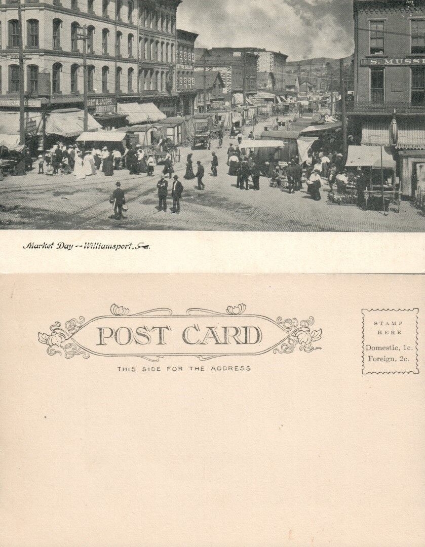 WILLIAMSPORT PA MARKET DAY UNDIVIDED ANTIQUE POSTCARD