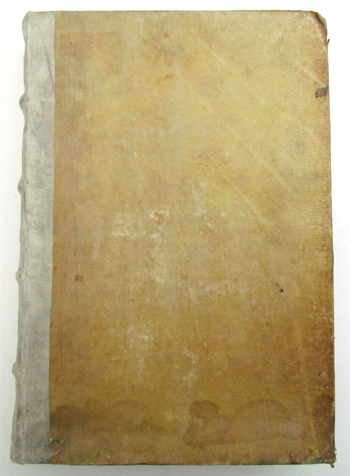 1574 MEDICAL TREATISE DONATI ALTOMARE antique VELLUM BOUND FOLIO rare