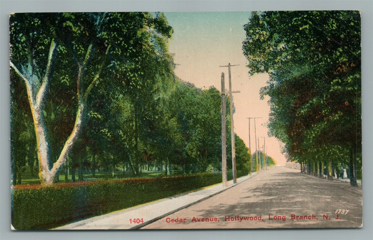 LONG BRANCH NJ CEDAR AVENUE HOLLYWOOD ANTIQUE POSTCARD