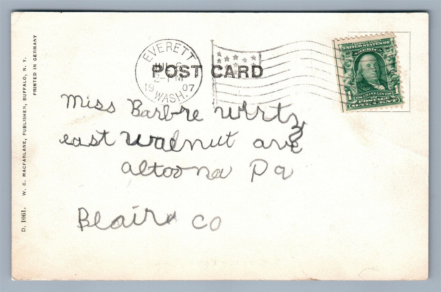 EVERETT WA FIR TREE 1907 ANTIQUE UNDIVIDED POSTCARD