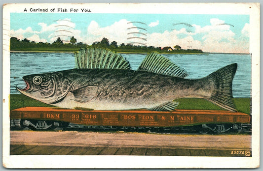 EXAGGERATED FISHING 1934 VINTAGE POSTCARD CARLOAD OF FISH