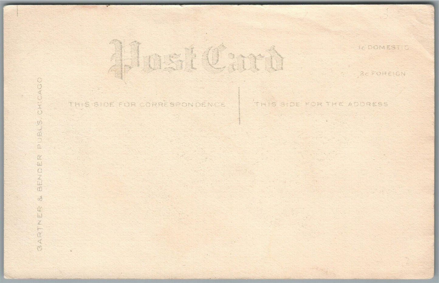 FUNNY CAT ANTIQUE POSTCARD