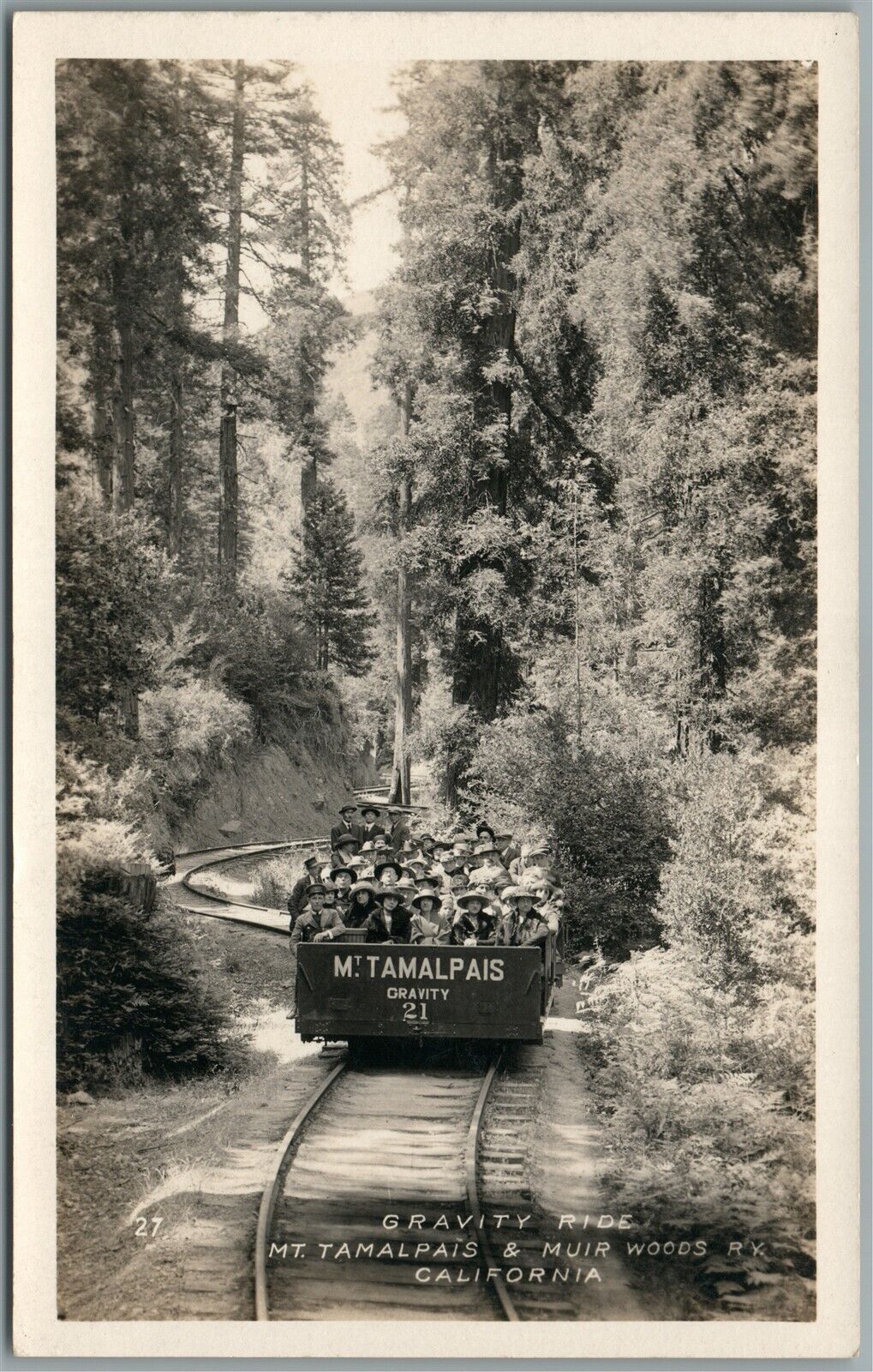 MT.TAMALPAIS CA MUIR WOODS RAILROAD RAILWAY VINTAGE REAL PHOTO POSTCARD RPPC