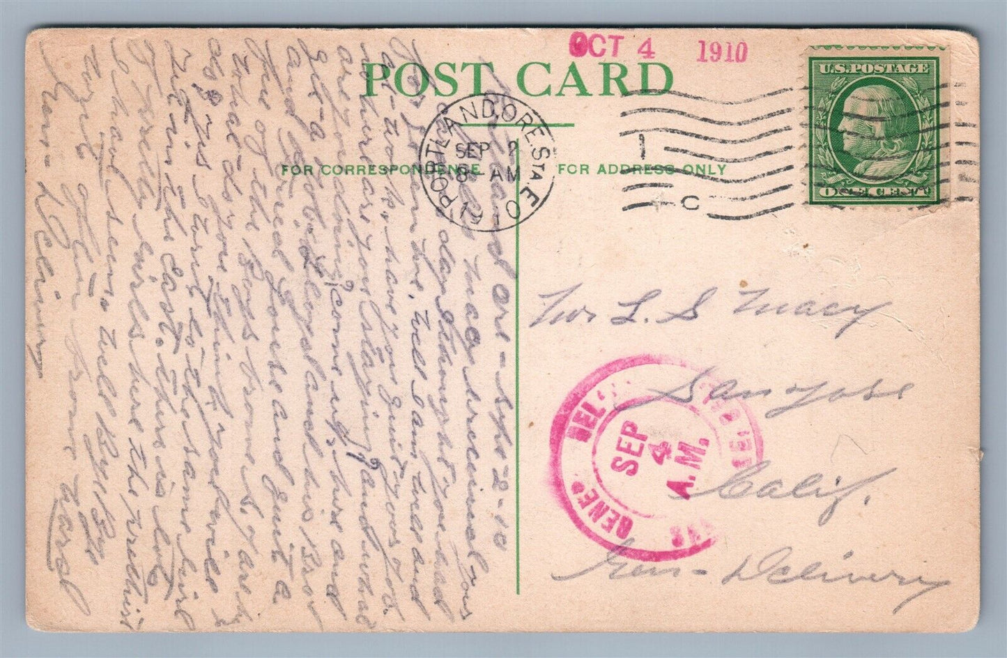 FIVE OREGON APPLES WEIGHT 173 oz 1910 ANTIQUE POSTCARD