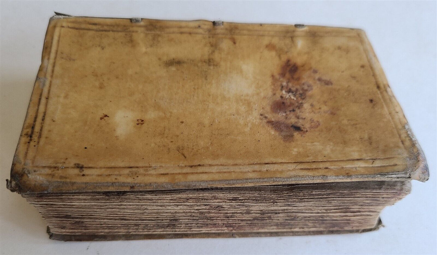 1613 IN GEORGII BUCHANANI PARAPHRASIN PSALMORUM antique VELLUM BOUND
