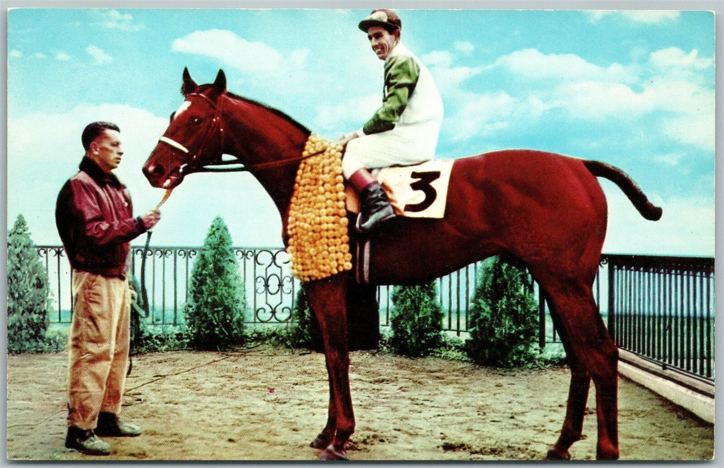 DELAWARE TOWNSHIP NJ GARDEN STATE PARK HORSE RACE VINTAGE POSTCARD