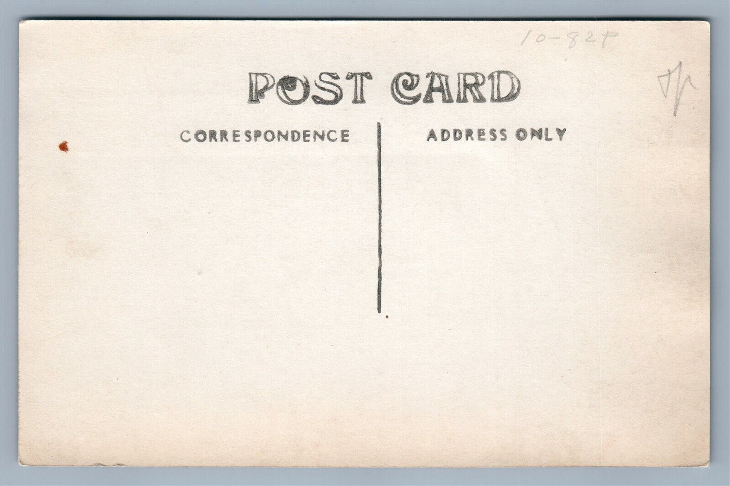 FARM SCENE LADY w/ GOOSE ANTIQUE REAL PHOTO POSTCARD RPPC