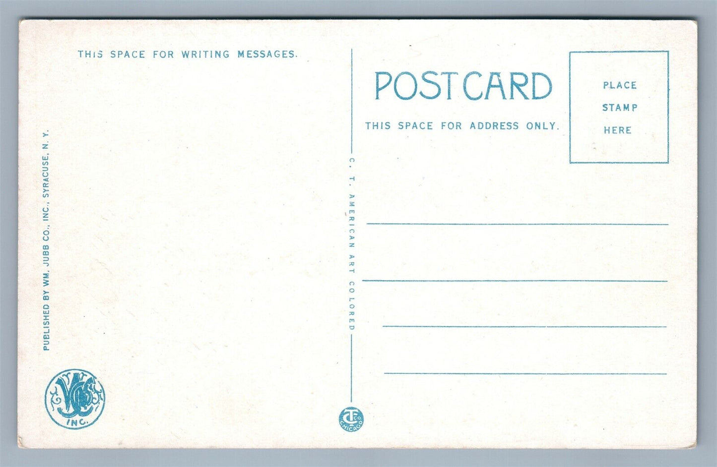 CARTHAGE NY NATIONAL PAPER PRODUCTS CO. MILL ANTIQUE POSTCARD