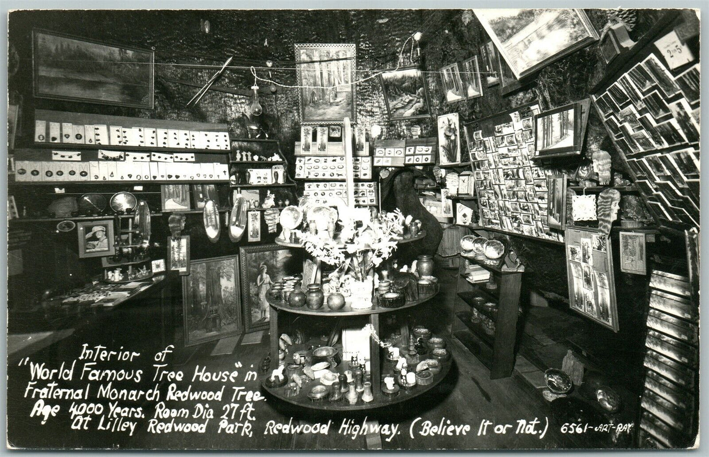 MONARCH TREE HOUSE ANTIQUE REAL PHOTO POSTCARD RPPC REDWOOD PARK CA