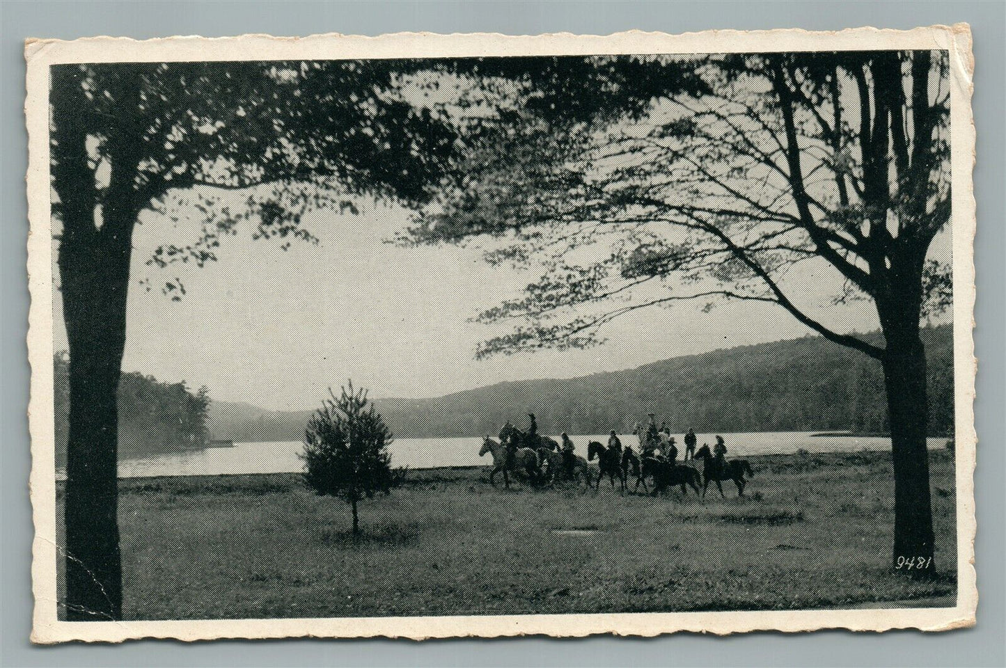 DUDE RANCHES NEW JERSEY VINTAGE POSTCARD