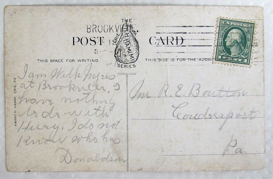 VINTAGE POSTCARD NORTH FORK PARK BROOKVILLE PA