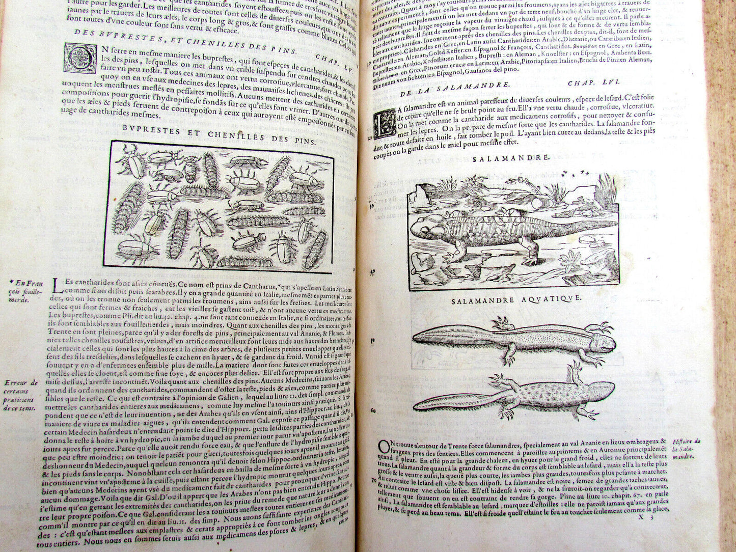 1579 MATTHIOLE COMMENTARIES ILLUSTRATED PLANTS ANIMALS antique 16th cent. FOLIO