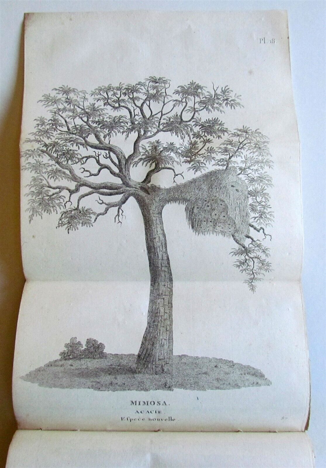 1790 AFRICA TRAVELS Voyages dans le pays des Hottentots ILLUSTRATED antique RARE