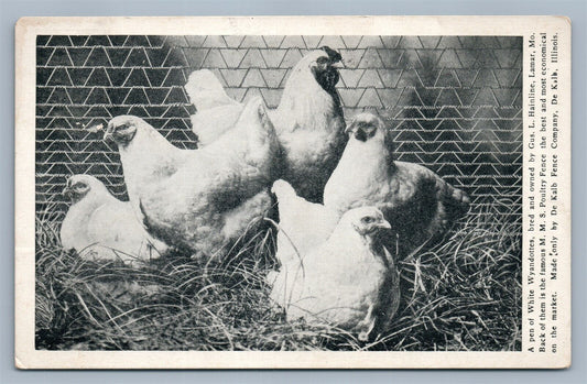 DE KALB IL FENCE CO ADVERTISING chickens poultry ANTIQUE POSTCARD